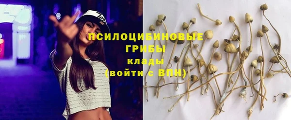 мяу мяу мука Куйбышев