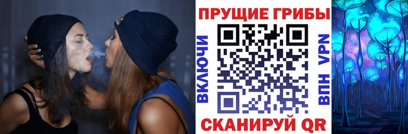 Галлюциногенные грибы Psilocybine cubensis  blacksprut рабочий сайт  Прокопьевск 